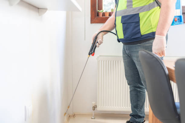 Best Termite Control Services  in Pulaski, VA