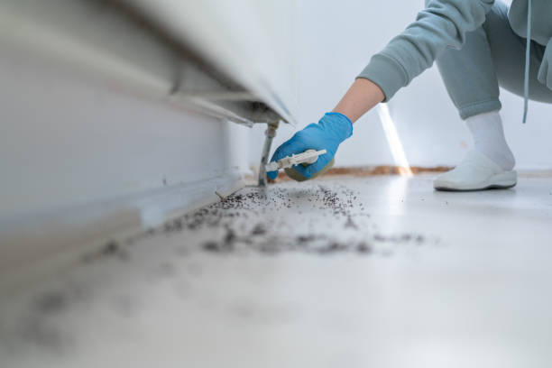 Best Best Pest Control Companies  in Pulaski, VA